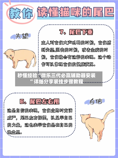 秒懂经验“微乐三代必赢辅助器安装	”详细分享装挂步骤教程-第2张图片