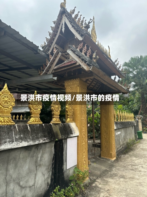 景洪市疫情视频/景洪市的疫情
