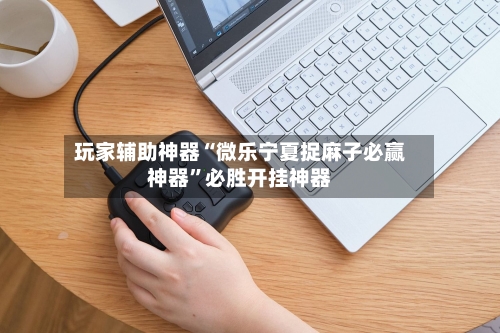 玩家辅助神器“微乐宁夏捉麻子必赢神器”必胜开挂神器-第3张图片
