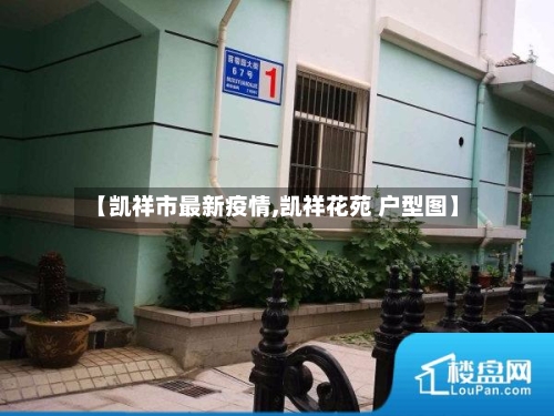 【凯祥市最新疫情,凯祥花苑 户型图】-第3张图片