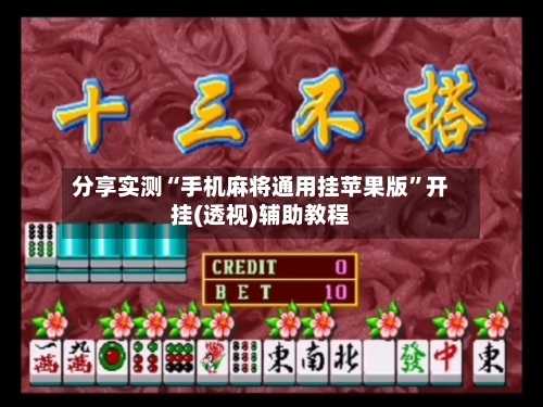 分享实测“手机麻将通用挂苹果版”开挂(透视)辅助教程