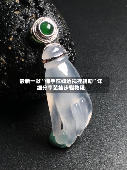 最新一款“佛手在线透视挂辅助”详细分享装挂步骤教程-第2张图片