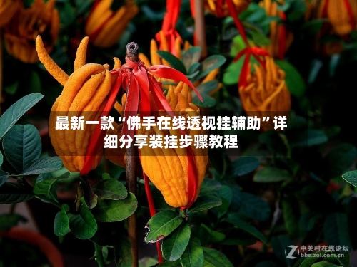 最新一款“佛手在线透视挂辅助”详细分享装挂步骤教程