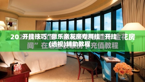 开挂技巧“微乐亲友房专用挂”开挂(透视)辅助教程-第2张图片