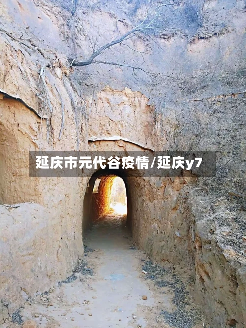 延庆市元代谷疫情/延庆y7