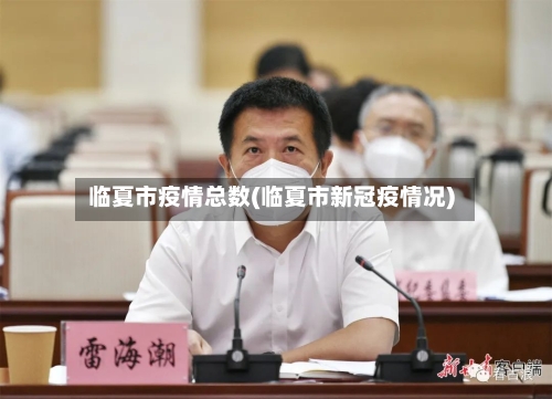 临夏市疫情总数(临夏市新冠疫情况)