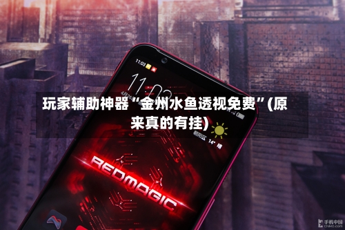 玩家辅助神器“金州水鱼透视免费”(原来真的有挂)