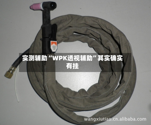 实测辅助“WPK透视辅助”其实确实有挂-第2张图片