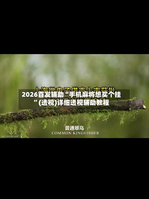 2026首发辅助“手机麻将想买个挂”(透视)详细透视辅助教程