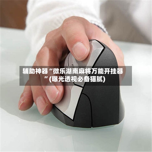 辅助神器“微乐湖南麻将万能开挂器”(曝光透视必备猫腻)-第2张图片