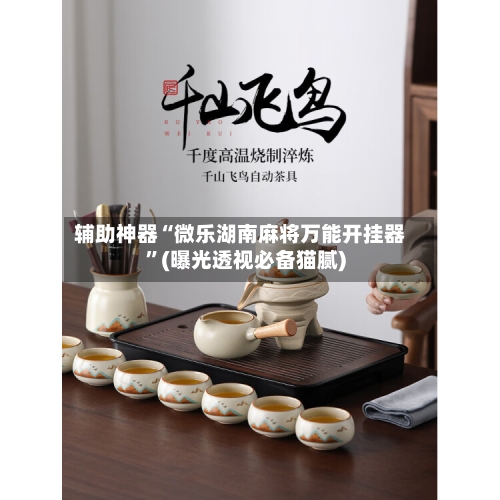 辅助神器“微乐湖南麻将万能开挂器”(曝光透视必备猫腻)-第3张图片