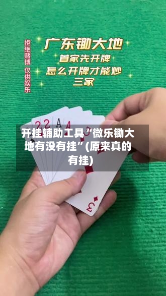 开挂辅助工具“微乐锄大地有没有挂”(原来真的有挂)-第2张图片