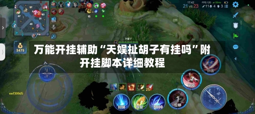 万能开挂辅助“天娱扯胡子有挂吗”附开挂脚本详细教程-第2张图片