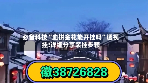 必备科技“血拼金花能开挂吗	”透视挂!详细分享装挂步骤-第2张图片