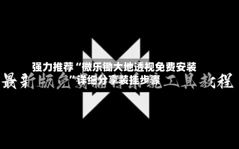 强力推荐“微乐锄大地透视免费安装”详细分享装挂步骤-第3张图片