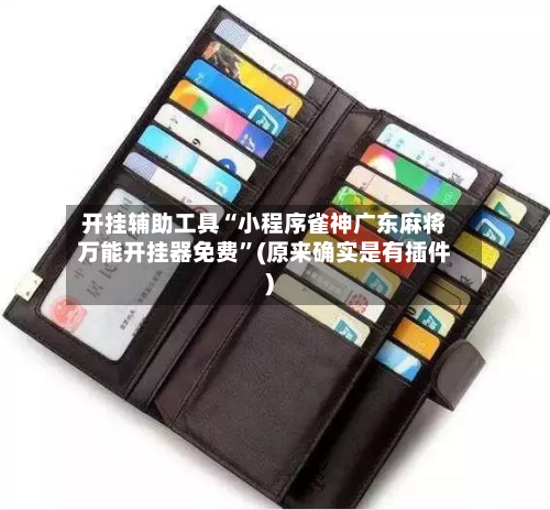 开挂辅助工具“小程序雀神广东麻将万能开挂器免费”(原来确实是有插件)-第2张图片