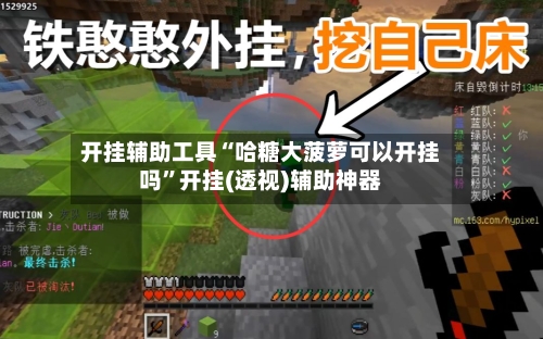 开挂辅助工具“哈糖大菠萝可以开挂吗”开挂(透视)辅助神器-第3张图片