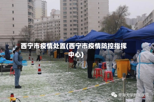 西宁市疫情处置(西宁市疫情防控指挥中心)