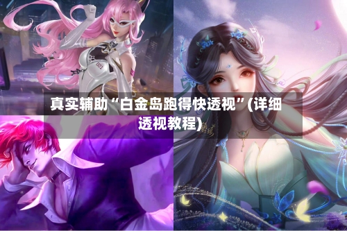真实辅助“白金岛跑得快透视”(详细透视教程)-第3张图片