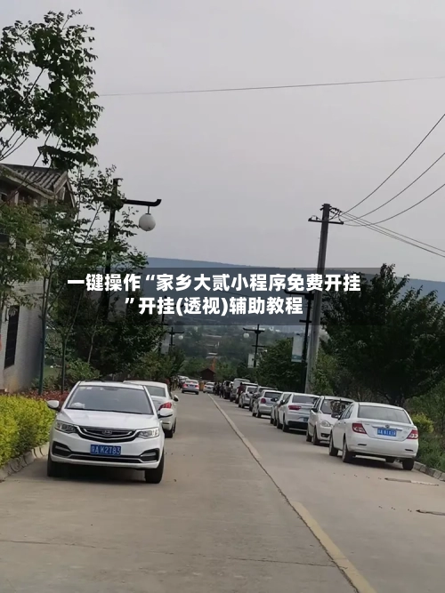 一键操作“家乡大贰小程序免费开挂”开挂(透视)辅助教程