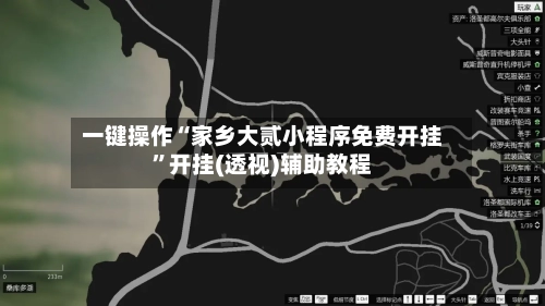 一键操作“家乡大贰小程序免费开挂”开挂(透视)辅助教程-第3张图片