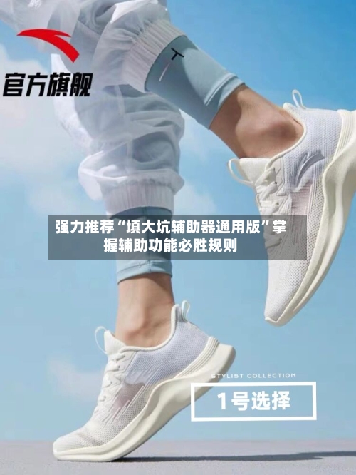 强力推荐“填大坑辅助器通用版	”掌握辅助功能必胜规则-第2张图片