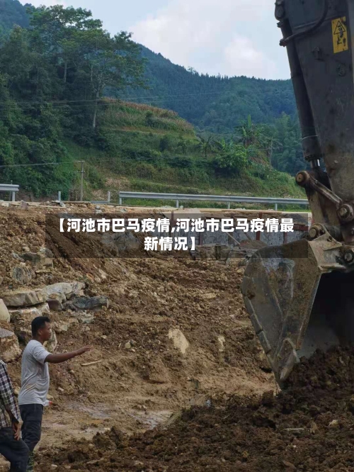 【河池市巴马疫情,河池市巴马疫情最新情况】-第3张图片