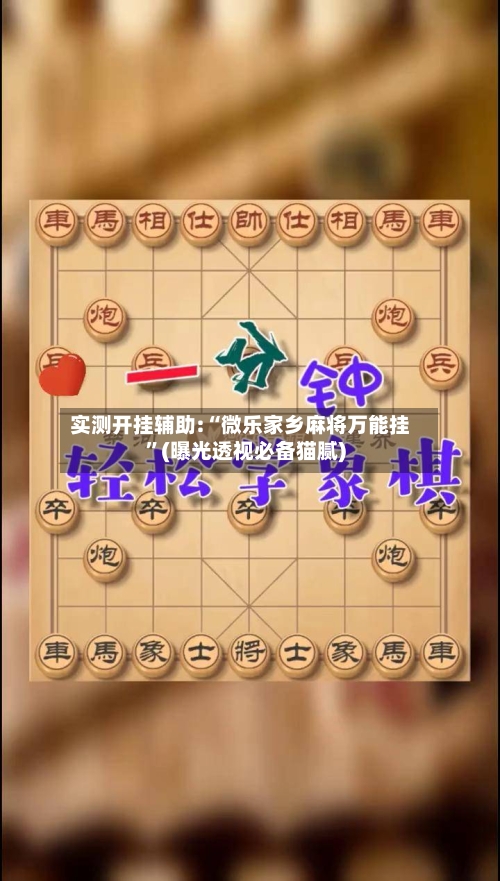 实测开挂辅助:“微乐家乡麻将万能挂”(曝光透视必备猫腻)