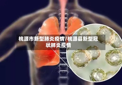 桃源市新型肺炎疫情/桃源县新型冠状肺炎疫情-第2张图片