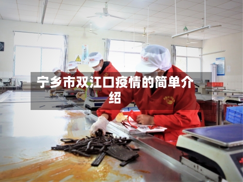宁乡市双江口疫情的简单介绍