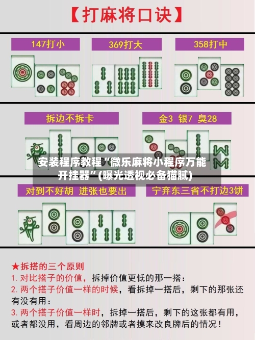 安装程序教程“微乐麻将小程序万能开挂器”(曝光透视必备猫腻)