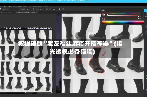 教程辅助“老友福建麻将开挂神器”(曝光透视必备猫腻)