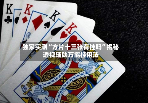 独家实测“方片十三张有挂吗”揭秘透视辅助万能挂用法