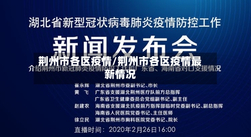 荆州市各区疫情/荆州市各区疫情最新情况