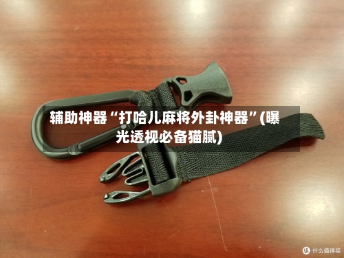 辅助神器“打哈儿麻将外卦神器	”(曝光透视必备猫腻)-第2张图片