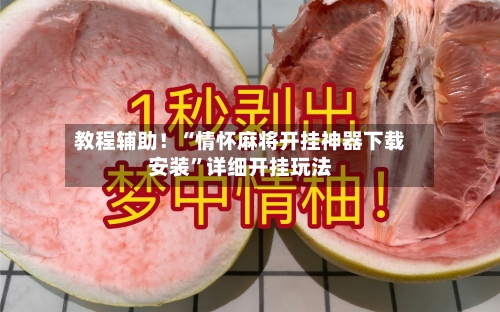 教程辅助！“情怀麻将开挂神器下载安装”详细开挂玩法-第2张图片