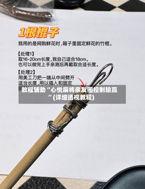 教程辅助“心悦麻将亲友圈控制输赢	”(详细透视教程)-第2张图片