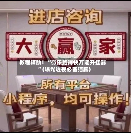 教程辅助！“微乐跑得快万能开挂器”(曝光透视必备猫腻)-第3张图片