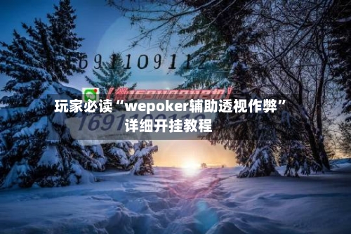 玩家必读“wepoker辅助透视作弊	”详细开挂教程-第2张图片