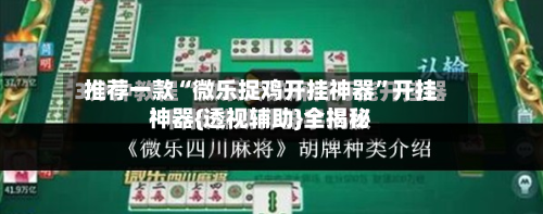 推荐一款“微乐捉鸡开挂神器”开挂神器{透视辅助}全揭秘-第2张图片