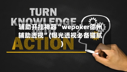 辅助开挂神器“wepoker德州辅助透视	”(曝光透视必备猫腻)-第2张图片