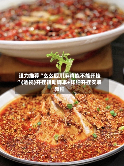 强力推荐“么么四川麻将能不能开挂”(透视)开挂辅助脚本+详细开挂安装教程-第2张图片