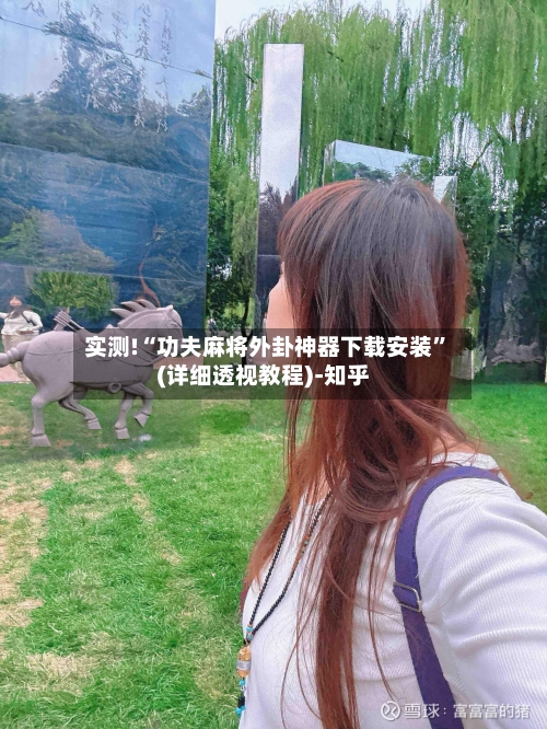 实测!“功夫麻将外卦神器下载安装	”(详细透视教程)-知乎-第2张图片