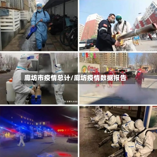 廊坊市疫情总计/廊坊疫情数据报告