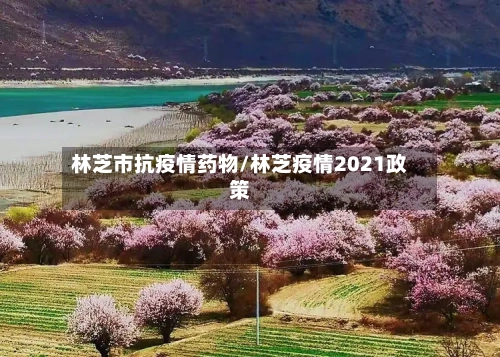 林芝市抗疫情药物/林芝疫情2021政策-第3张图片
