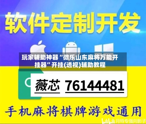玩家辅助神器“微乐山东麻将万能开挂器	”开挂(透视)辅助教程-第2张图片