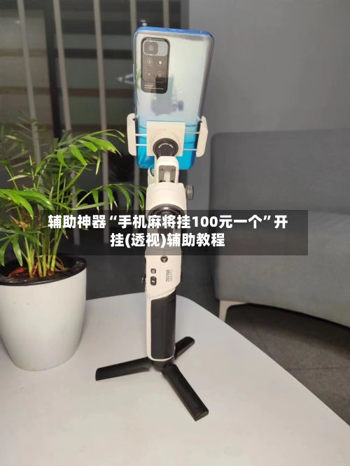 辅助神器“手机麻将挂100元一个”开挂(透视)辅助教程-第3张图片