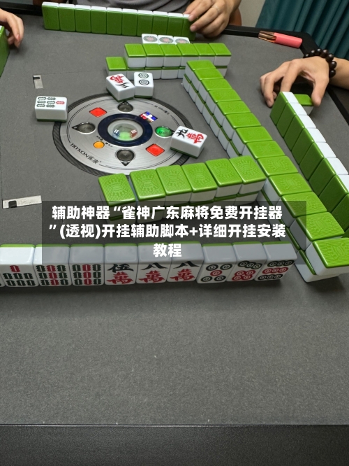 辅助神器“雀神广东麻将免费开挂器”(透视)开挂辅助脚本+详细开挂安装教程-第2张图片