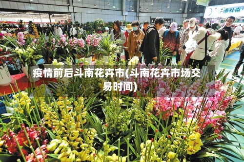 疫情前后斗南花卉市(斗南花卉市场交易时间)-第2张图片