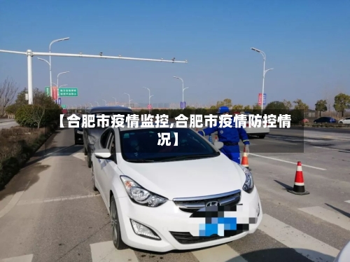 【合肥市疫情监控,合肥市疫情防控情况】